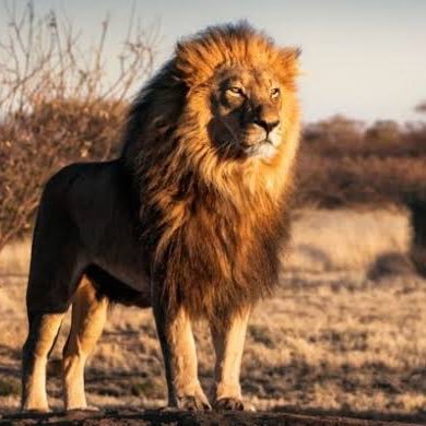 worldnews1551's profile picture. 