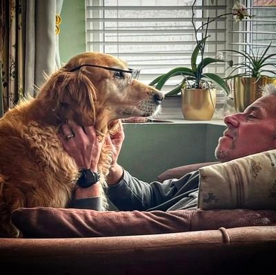 JonathanDG51184's profile picture. Aviation, Humour, Positivity, dogs, doughnuts and maybe a didgeridoo - but I doubt it ❤️ #LoveWins