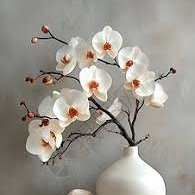 bmywsedc's profile picture. 👩‍🦰アウトドアの風、旅の自由、友達のぬくもりが好き——日本語を勉強中です