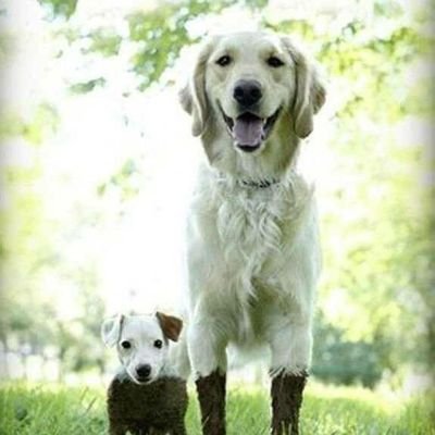 Crypto_otter07's profile picture. Soon-to-be dad | Weekend golfer | 
Sharing thoughts on Stocks, Crypto, and the markets.