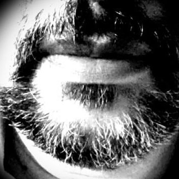 celsoyerg's profile picture. Sigo testando o algoritmo da vida.