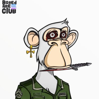 BeltsSol's profile picture. $michi forever. Solana on top