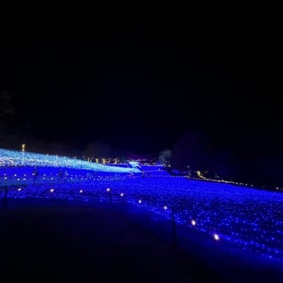 dayazasa_pr's profile picture. 