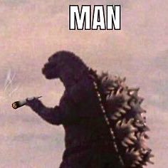 RedBlue1681's profile picture. Aspiring fighter, big lizard and giant robot fan, currently confused but I’m getting better I think ☦︎