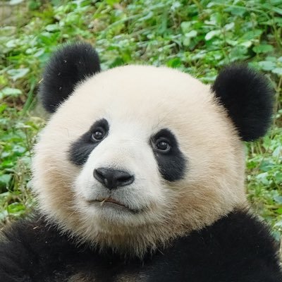 _xia__'s profile picture. 💜