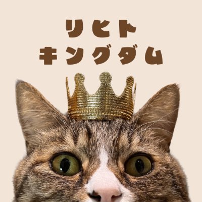 licht_kingdom's profile picture. 声優・小笠原早紀（@sachi_oga）が主宰、運営するボードゲーム制作サークル「リヒトキングダム」の公式アカウントです。 ゲームマーケット2026春の参加を目指して頑張ります！