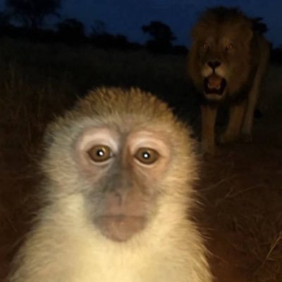 shootmeback's profile picture. 20 | comp claw cod player | free palestine