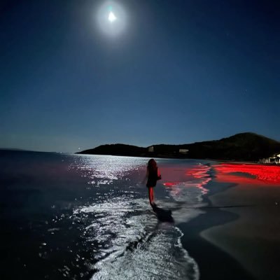 theeweed_'s profile picture. الأصدق الأكذب