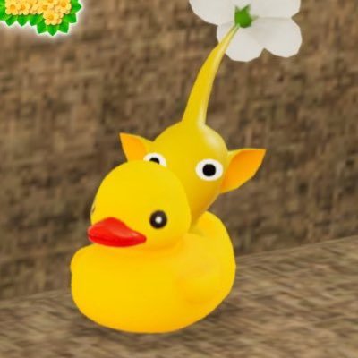 kipikminchan's profile picture. コスメ、美容情報収集用⋆⁺₊⋆ ☾