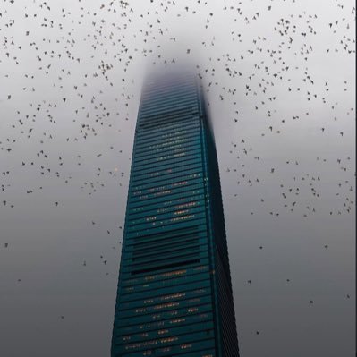 twatterofpures's profile picture. 