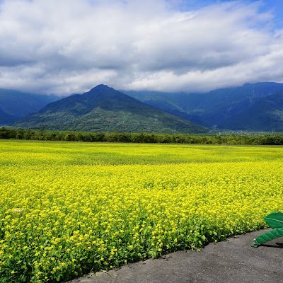 KenChang8412's profile picture. 