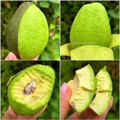 Aulex_0's profile picture. MERN | Golang Developer | Scalable Web & Mobile Apps (React Native)