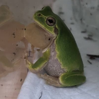 mugi0129A's profile picture. 