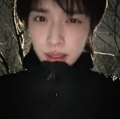 caestte's profile picture. 