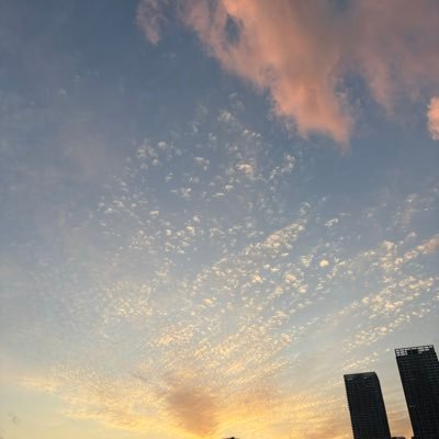 KFLOomIeXo15845's profile picture. 