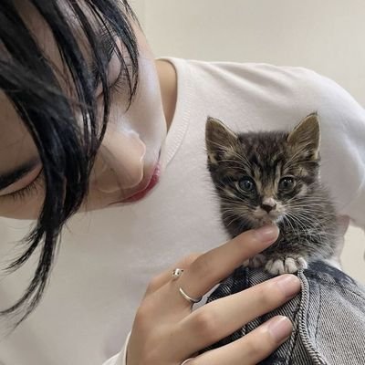 nshmuraang's profile picture. you know its me when “!!” — fan account