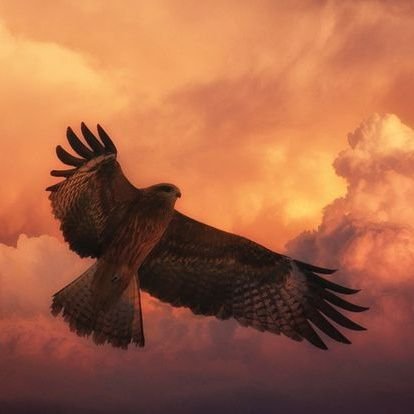 ElSadaat223032's profile picture. Strategist. Citizen. Patriot. I believe in accountability, justice, and a better Nation for all.