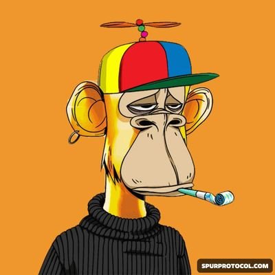 peaceObv's profile picture. Content creator on @KaitoAI @cookiedotfun @wallchain_xyz @FractionAI_xyz  
testnet explorer and committed community member to all projects.