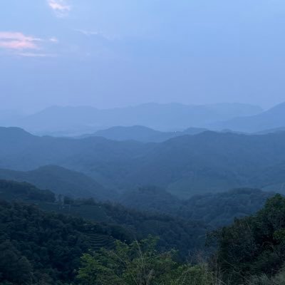 yngyng28046's profile picture. 