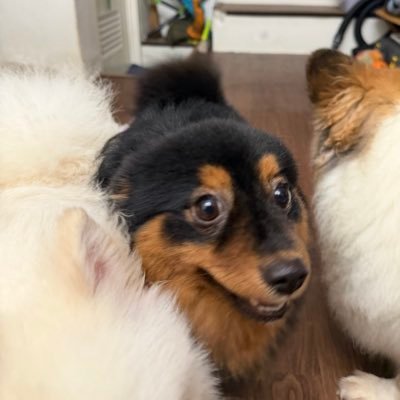 r3b3L28's profile picture. 