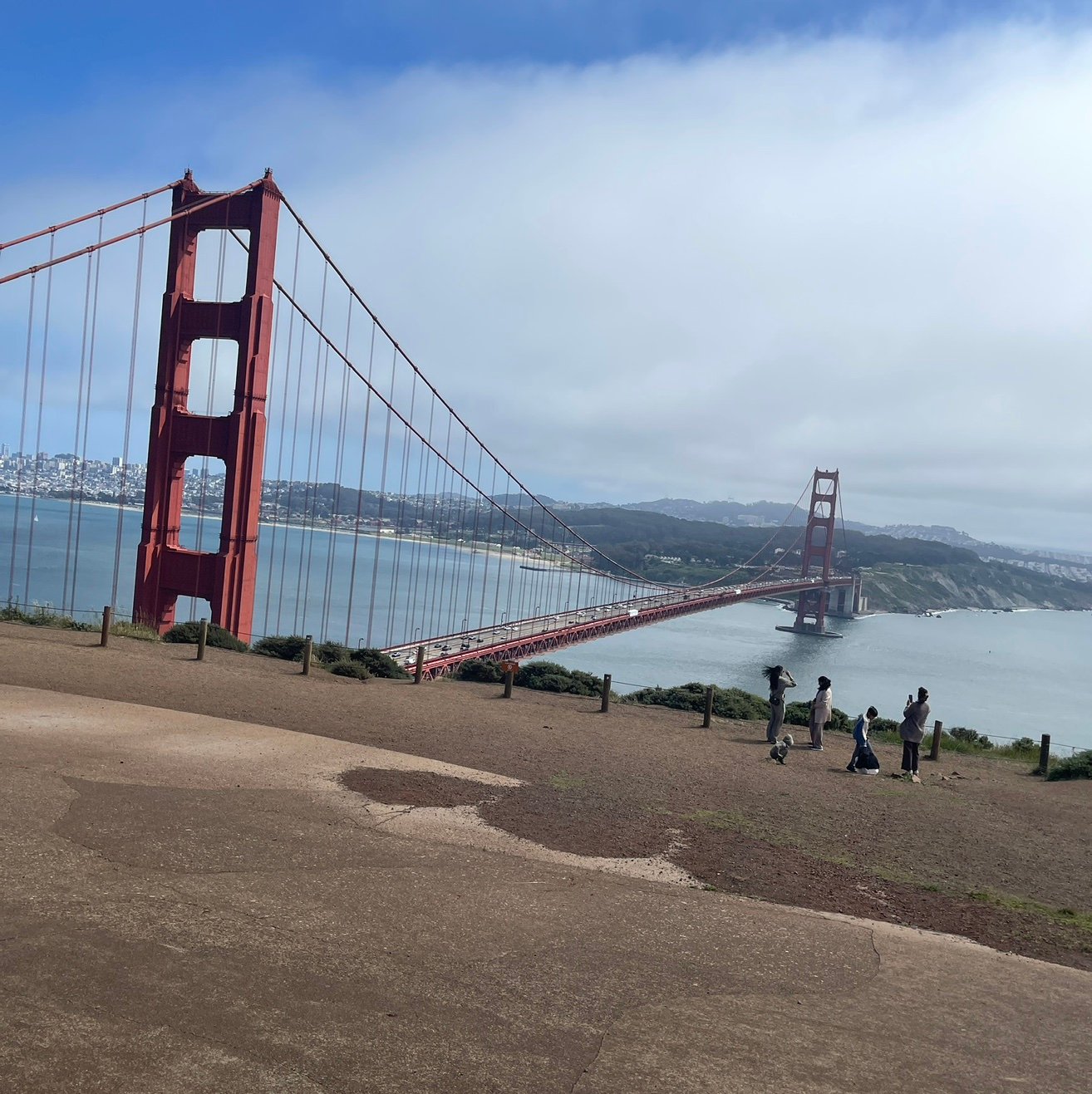 T_DDesha's profile picture. 