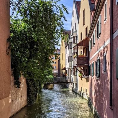 Mr_Augustin__'s profile picture. 