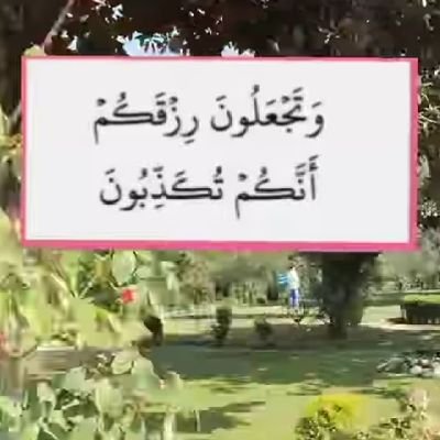 Mohamma89464517's profile picture. Sampale life is so good