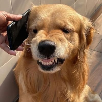 lantorw's profile picture. รักแม่ไม่แคสาว