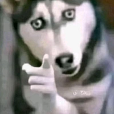 jooomANJI's profile picture. welcome to the jungle 🧌 #unhinged  *Joined June 2021