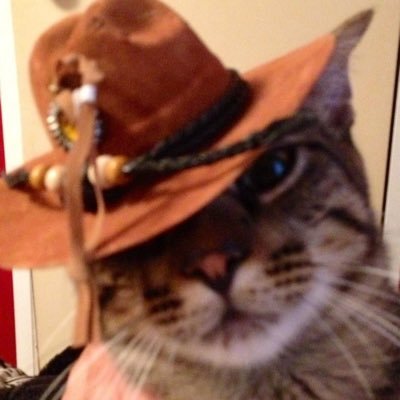 432k's profile picture. Life is not always daijoubu