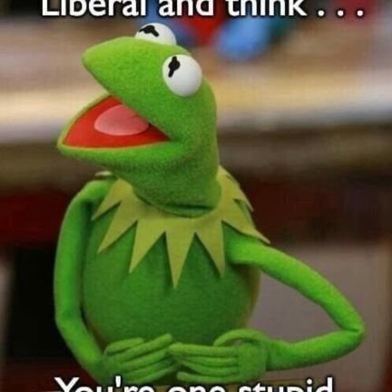 J67113J's profile picture. 💫🇺🇸 AMERICAN 🇺🇸💫 
If you are promoting a lie, I will block you. 
🌴