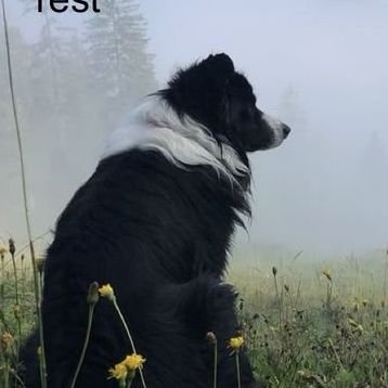 itsnickii__'s profile picture. 🩷🩷@angel_biit 🩷🩷
#1 Duster Dick Rider
she/they pls
speed main on osu!mania + osu!taiko
yap account: @nickis_yapathon