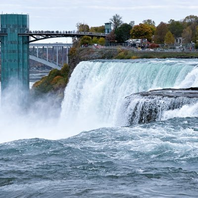 MozaffarDaniya's profile picture. 