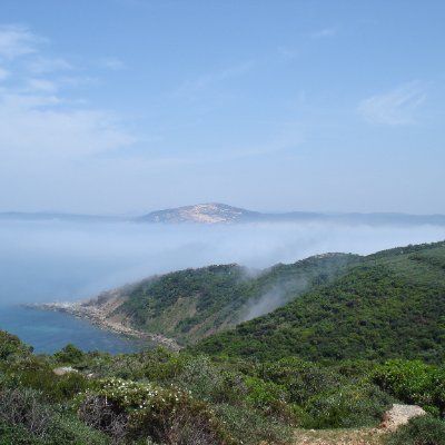 OuldYacoub8693's profile picture. 