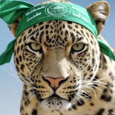 ehsan3005773290's profile picture. 