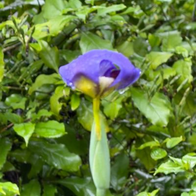 JoEarle338372's profile picture. 