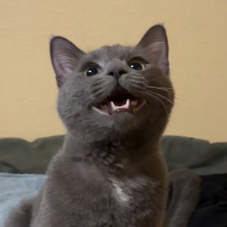 HuxleyCS's profile picture. 