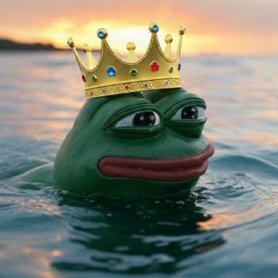 AquaGroyper's profile picture. 🇺🇸 America First • 🌊 Aquaphile • 🥷 WANGHAF • 📉 Data and Statistics Nerd • 🎥 Silly AF Videos • 📚 America First Reading List on Telegram ⬇️