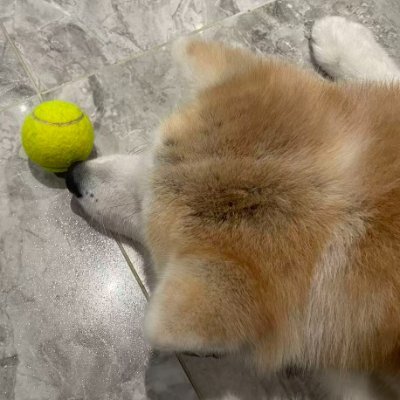 TBolei's profile picture. 