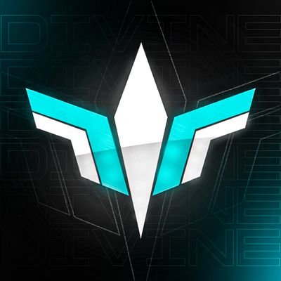 Divineteamn's profile picture. Divine Never Falls. | 1x FNCS Finals