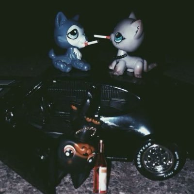 haioncatnip's profile picture. 18 || any pronouns || hyperfixation posting alot of the time please forgive me