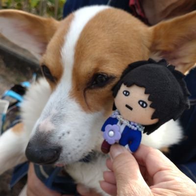 kotatuni_wanko's profile picture. コーギー飼ってます名前はメル♂
🐾🐶一人カラオケ大好きな昭和の女でございます。back number🔑依与吏さん💕フォローはお気軽にどうぞ