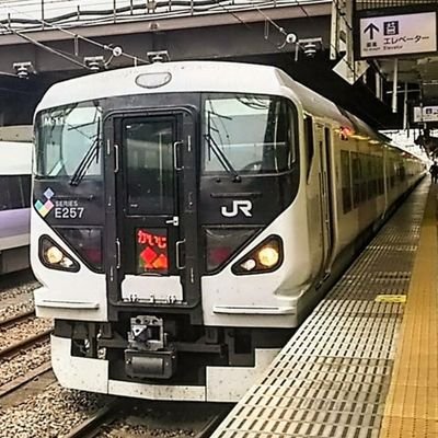 E25714's profile picture. 生まれつきの汎下垂体低機能低下症甲状腺ホルモン、尿崩症基礎疾患あり。小6から現在進行系で原因不明の微熱や高熱や異常な倦怠感、頭痛が約10年20年以上どこの医療機関で検査をしても異常はなし、だるくて直ぐに横になりたくなってしまう事が多いです、加えて皮膚症状もあります、何か特効薬出来れば良いのにと思わなかった日はありません