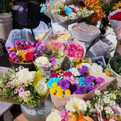 auldecan's profile picture. 💅🏻🍭🧚🏻‍♀️🦢🪸🌈🩰💘🫶🏻🪐🧚🏻🫧🦄🫀 - humans are cute sometimes