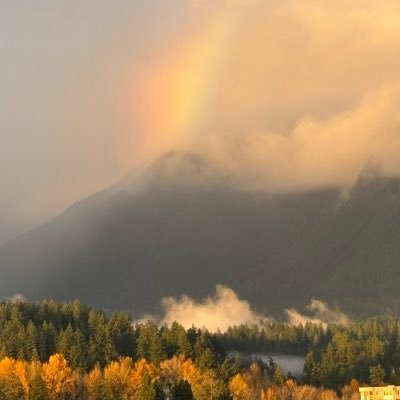 benannanews's profile picture. 🤡Clown World 🌎 Commodity Researcher Masterclass