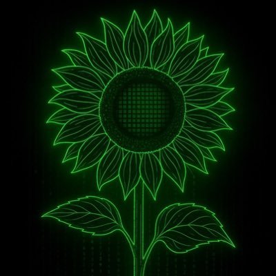 hackXdemocracia's profile picture. La democracia no se Hackea 🌻