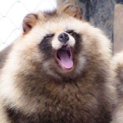 dailymocabunny's profile picture. 너 책 안 읽을 거면 폰 이리 내 #독서몽 #월말의몽카