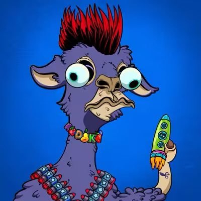 orbitalpaca's profile picture. 800 Orbitalpaca coming on @base on DEC 28th ,2025 1pm UTC , Collabs Dm @collabdoctor