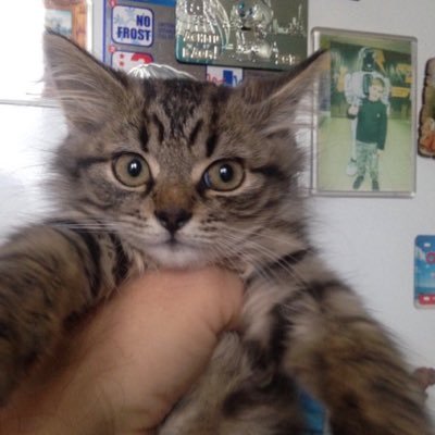 Alexey637792's profile picture. 