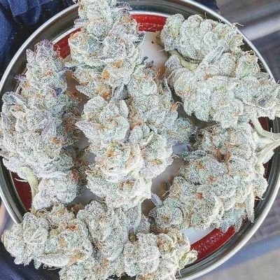 packmanzap52218's profile picture. Welcome to the zone where smoke💨 meets steel. ⛽️Explore the best in weed, top -shelf weed, and trusted firearms. We bring news, reviews,telegram username📲